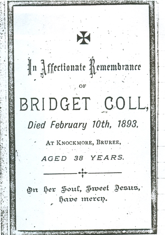 Bridget cleary coll feb 10th 1893